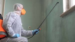 Mold Odor Removal Services in Avila Beach, CA